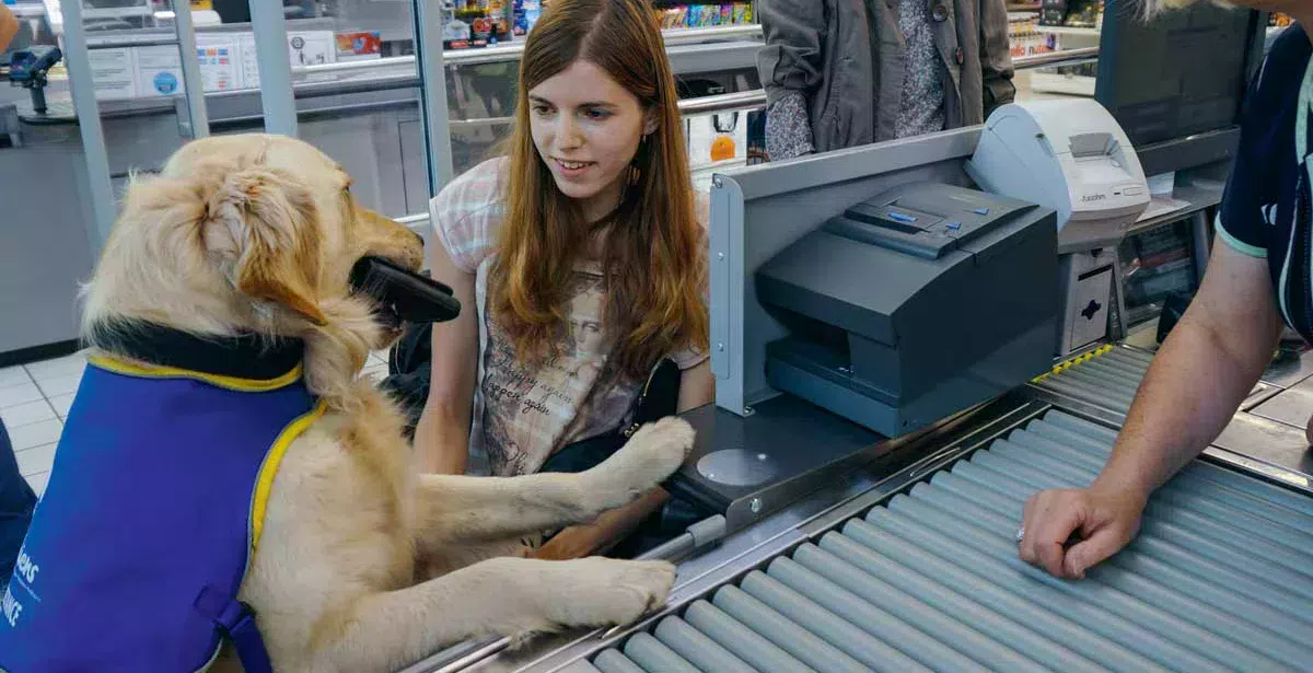 À la caisse du supermarché, Havane se charge d’effectuer la transaction pour sa référente Kristyna. - Illustration Handi’chiens Bretagne : super chien à la rescousse