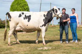 Cathy et Yvan Peucet soint heureux de participer à leur deuxième Space consécutif en présentant Harpe, une vache au format exceptionnel (1,75 m au garrot) pointée 88 points en 2e veau.