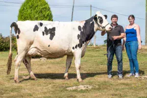 Cathy et Yvan Peucet soint heureux de participer à leur deuxième Space consécutif en présentant Harpe, une vache au format exceptionnel (1,75 m au garrot) pointée 88 points en 2e veau.