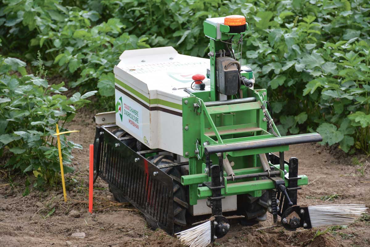 Photo of En agriculture, les robots bouillent d’impatience