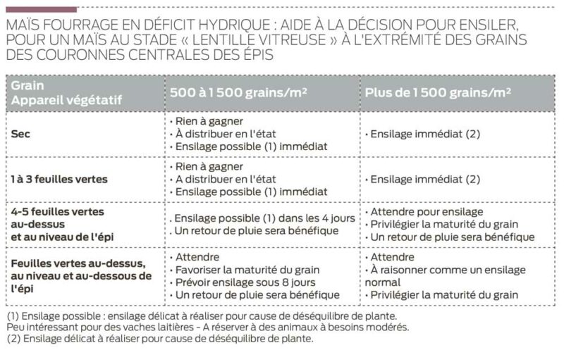 Maïs fourrage en déficit hydrique : aide à la décision pour ensiler, pour un maïs au stade « lentille vitreuse » à l'extrémité des grains des couronnes centrales des épis