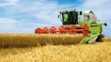 moisson-ble-claas