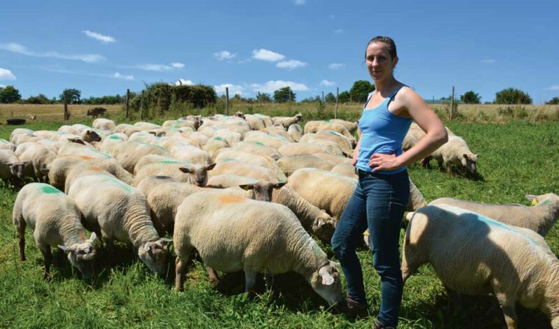 Amandine Blanc présente le lot de brebis gestantes Mouton Vendéen qui va agneler en novembre.