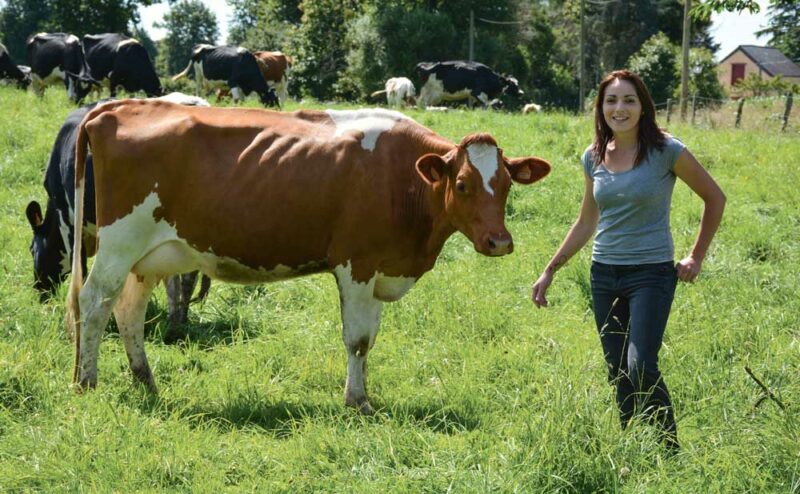 Jolie, fille de Laron P., est préselectionnée pour concourir au Space. Elle a vêlé en avril à 28 mois. C’est la première génisse sexée d’Audrey Vallée, éleveuse à Vern-sur-Seiche (35).