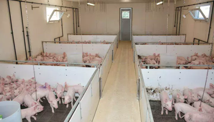 porc-bocage