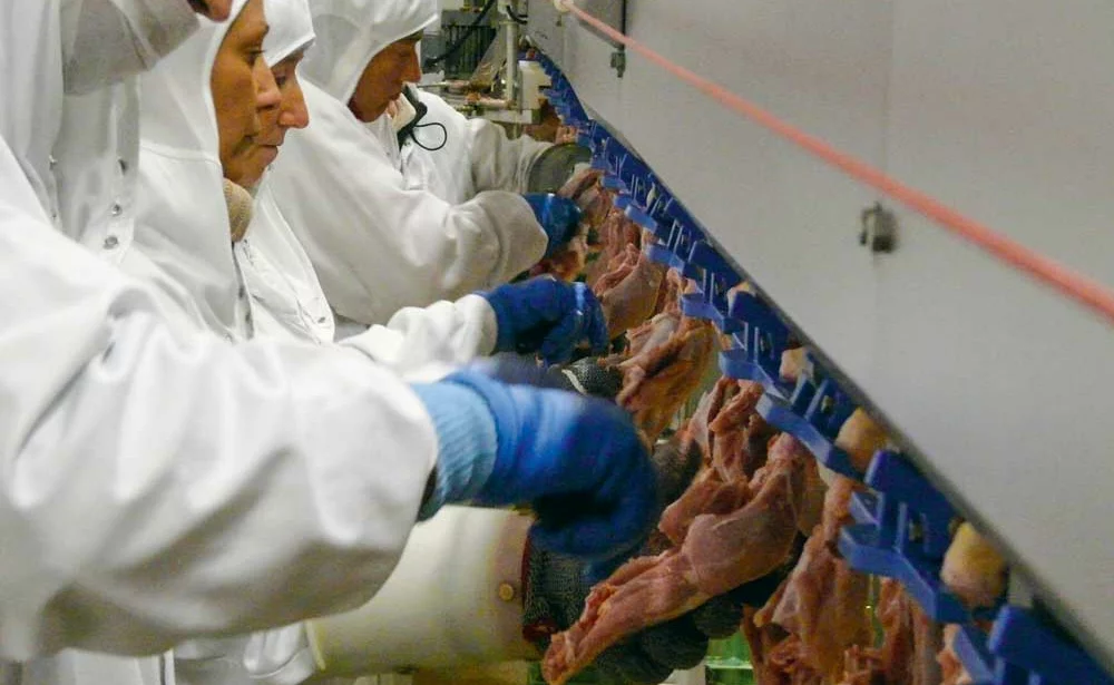 poulet-chaine-agro - Illustration L’agroalimentaire, en tête des secteurs industriels pour la disparition d’entreprises