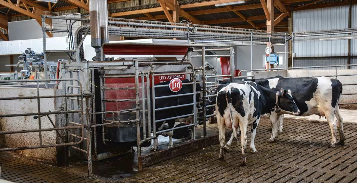 robot-traite-lely - Illustration Recul de la collecte et remontée du prix du lait de vache en octobre