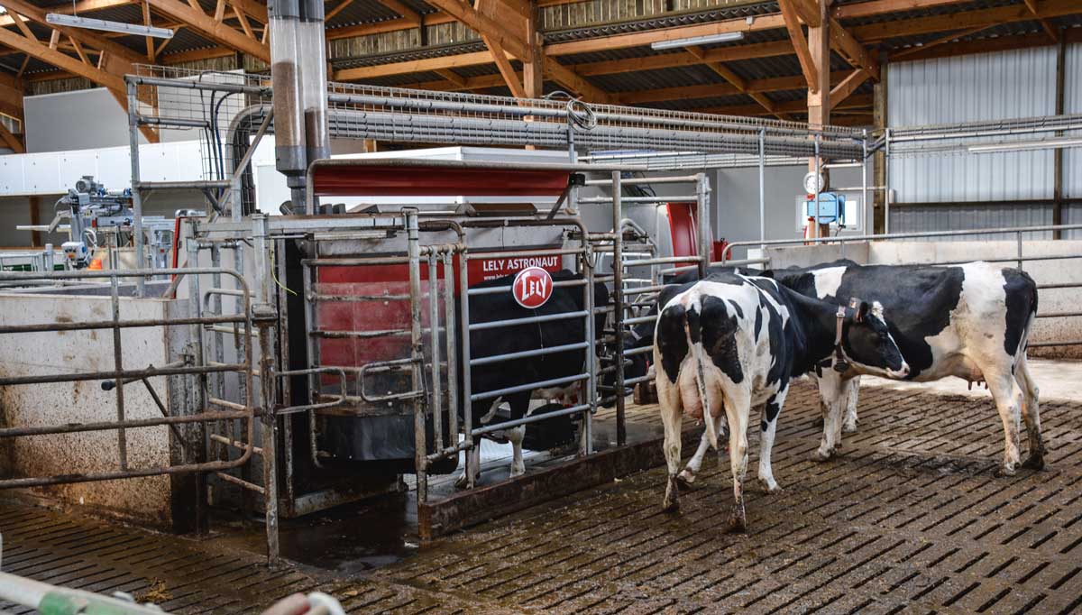 robot-traite-lely - Illustration Le recul de la collecte de lait de vache se poursuit en août