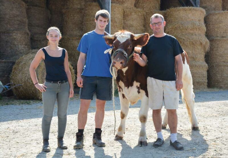 A tour de rôle, Emmanuel Cornuaille, son fils Pierre, et Chloé Filliatreau, apprentie, ont dressé Jacanne pour le concours national du Space. « Une génisse très docile à la base », souligne l’éleveur.