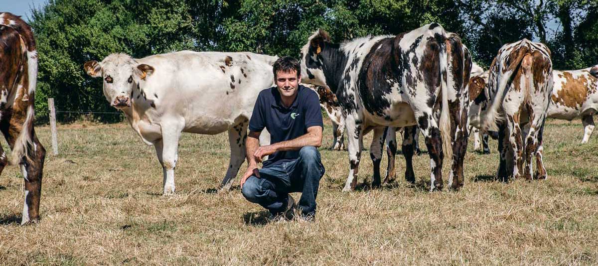 td_alain_letissier-lait - Illustration Retour à l’herbe après reprise de foncier : “Pourquoi faire du blé ?”