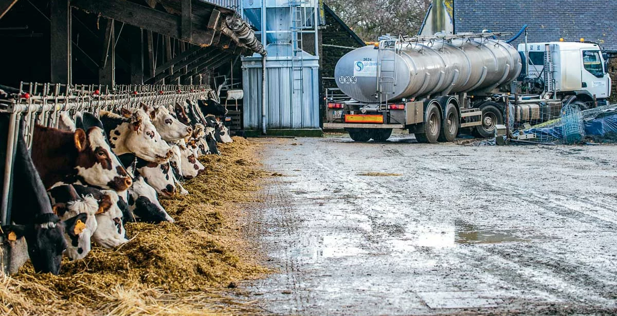 td_lait_sodiaal - Illustration “Les petits arrangements sur le prix du lait entre opérateurs économiques doivent cesser !”