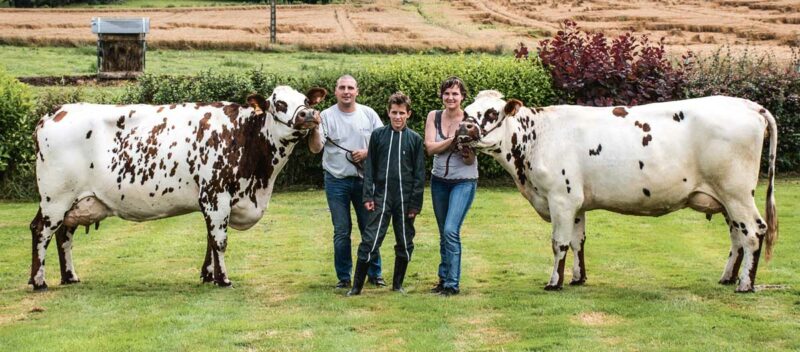 Gagnante et Image, présélectionnées pour le Space. Leurs propriétaires Emmanuel et Isabelle Coué sont accompagnés de Mathieu, 14 ans, originaire de la région parisienne, qui aime passer ses vacances à la ferme. 