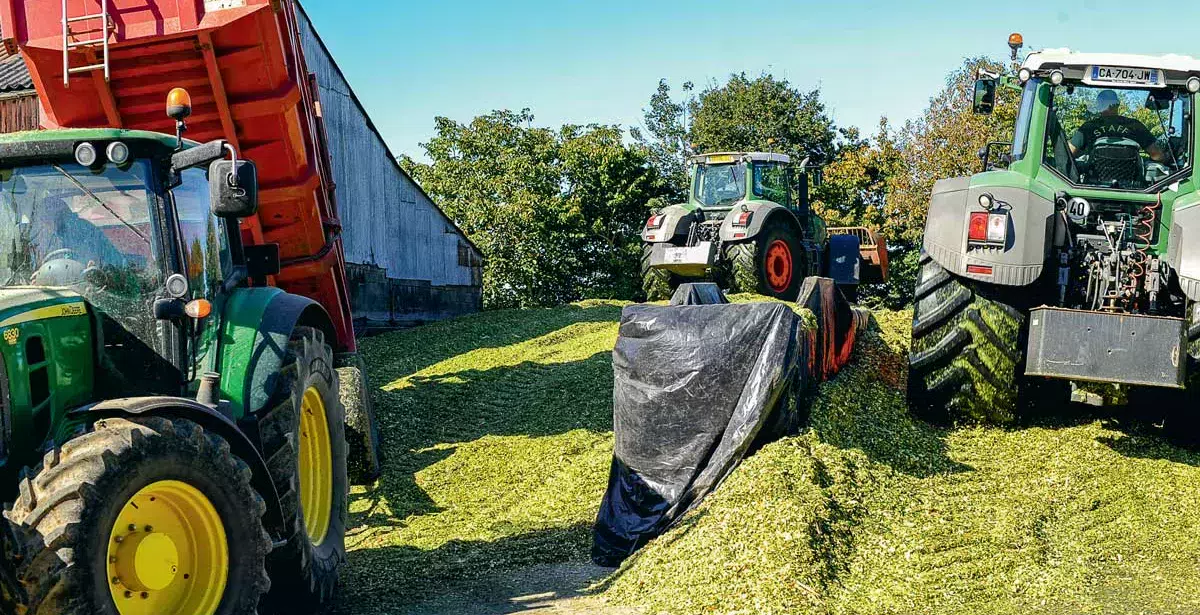 td_tassage_silo - Illustration Des arguments de poids pour un bon silo de maïs