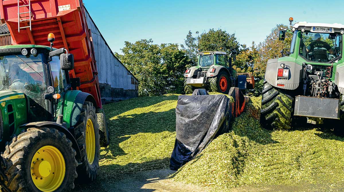 td_tassage_silo - Illustration Des arguments de poids pour un bon silo de maïs