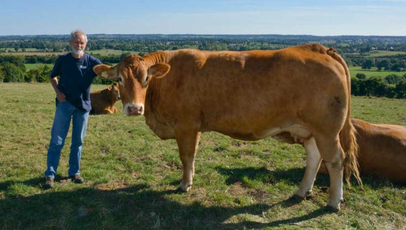 Gilbert Léonard recherche avant tout des animaux avec un bon développement squelettique et une bonne rectitude de dessus (et beaucoup de viande dans le dessus), pour une bonne valorisation.