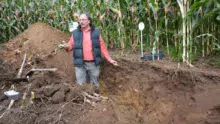 Daniel Hanocq, conseiller agronome à la Chambre d’agriculture, a commenté le profil de la parcelle d’essai. « Les racines vont chercher à boire en profondeur. Ici, le sol le permet ».