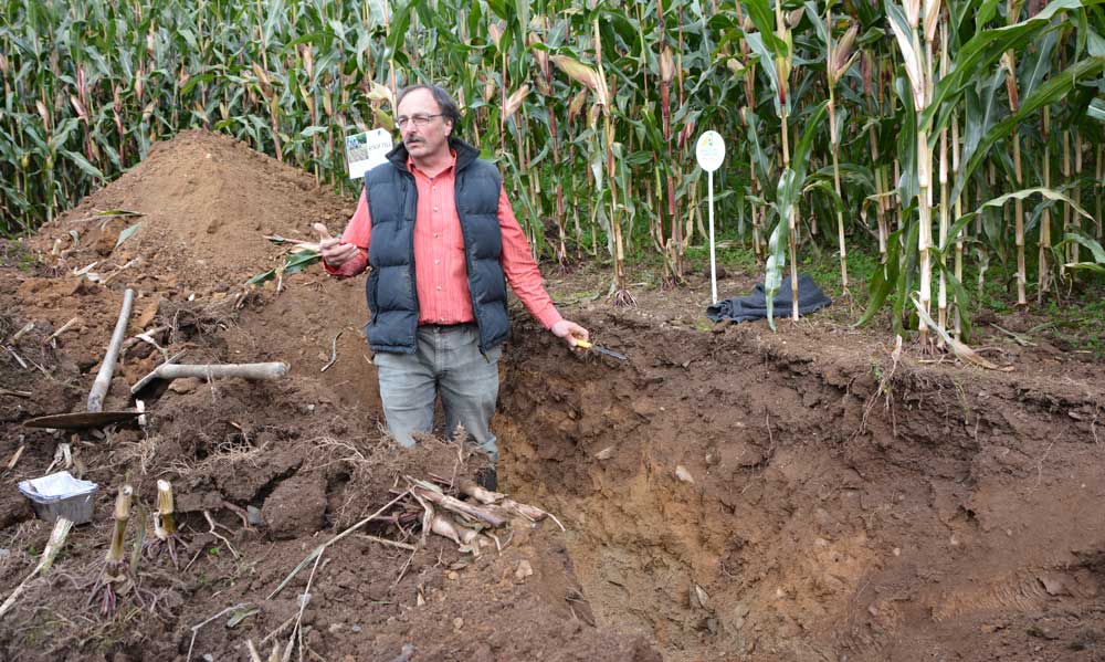 Daniel Hanocq, conseiller agronome à la Chambre d’agriculture, a commenté le profil de la parcelle d’essai. « Les racines vont chercher à boire en profondeur. Ici, le sol le permet ». - Illustration L’agriculteur sait aussi être un tuteur