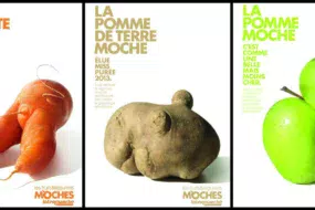fruits-legumes-moches