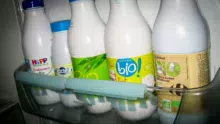 lait-bio