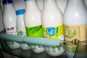 lait-bio