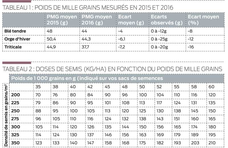 poids-mille-grains