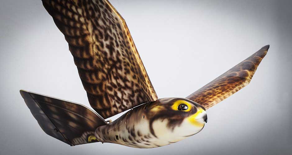 robird-eagle-view - Illustration Un drone-faucon qui chasse les oiseaux