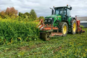 Le rouleau avant casse la moutarde brune. Derrière, le semoir Väderstad CarrierDrill 300 effectue un semis simplifié.