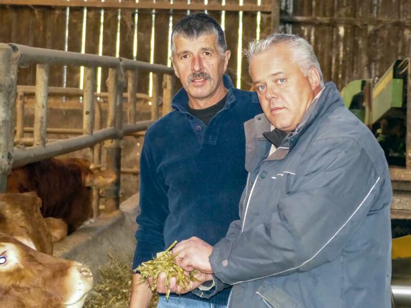 Jean-Luc Enez, de l’EARL des Peupliers à Pleyber-Christ (à gauche), échange avec Jean-Paul Kergoat, son technicien cultures sur la qualité de l’ensilage fraîchement récolté, idéal pour les broutards.