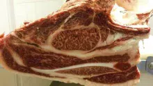 Côte de bœuf Wagyu (Miyabi) persillée.