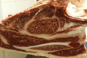 Côte de bœuf Wagyu (Miyabi) persillée.