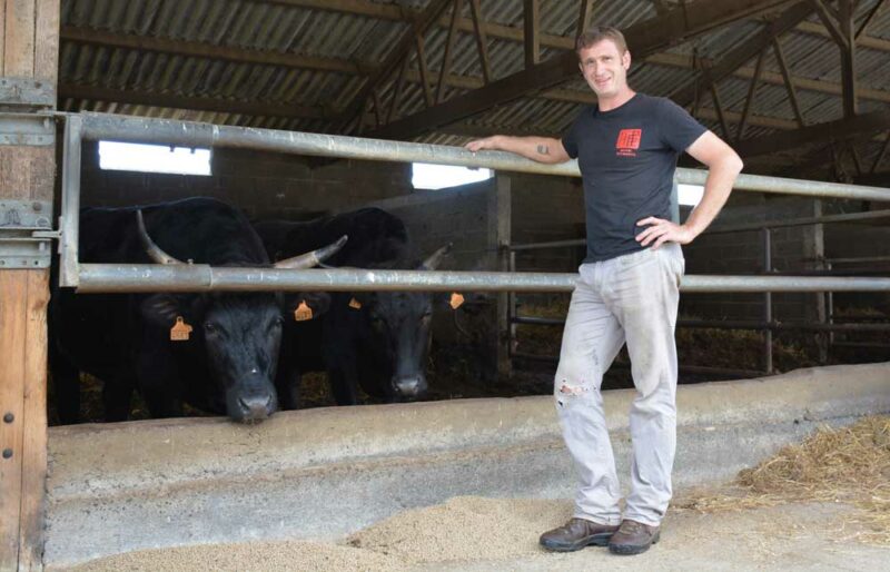 Sébastien Chérel devant ses bœufs de race japonaise Wagyu prêt à être vendus sous la marque Miyabi