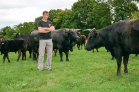 Le troupeau de Wagyu de Sébastien Chérel totalise 75 animaux dont 30 mères et 4 mâles reproducteurs. C’est une race calme, paisible, produisant une viande très persillée.