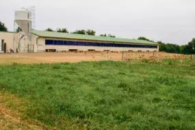 Un plan de plantation du parcours des poulets est établi systématiquement pour tous les poulaillers neufs.