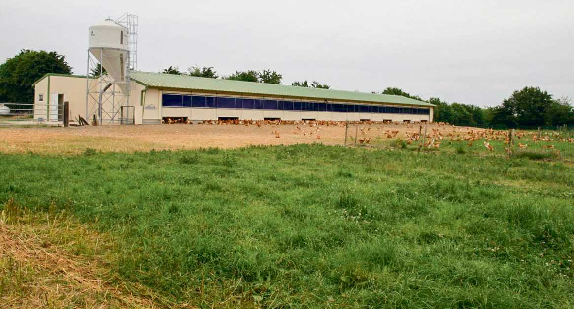 Un plan de plantation du parcours des poulets est établi systématiquement pour tous les poulaillers neufs. - Illustration 60 poulaillers neufs sur 2 ans
