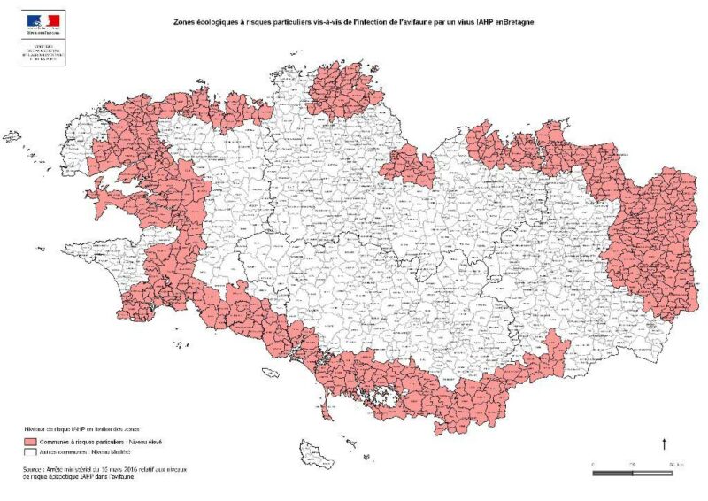 carte-bzh-h5n8