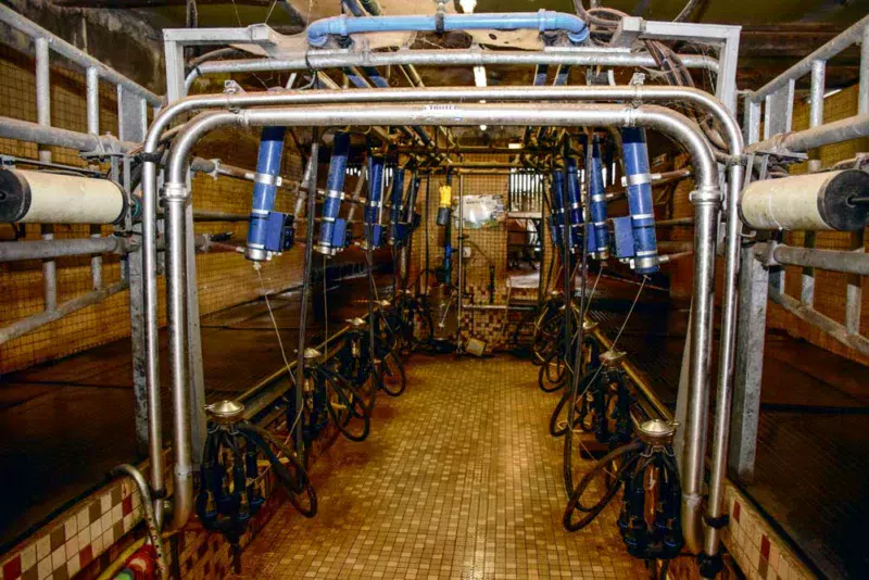 Pour son installation, le jeune agriculteur a choisi « un outil fonctionnel avec des possibilités d'évolution ».