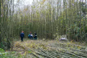 ttcr-chantier-insertion-bois