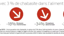 effet-chabasite-porc