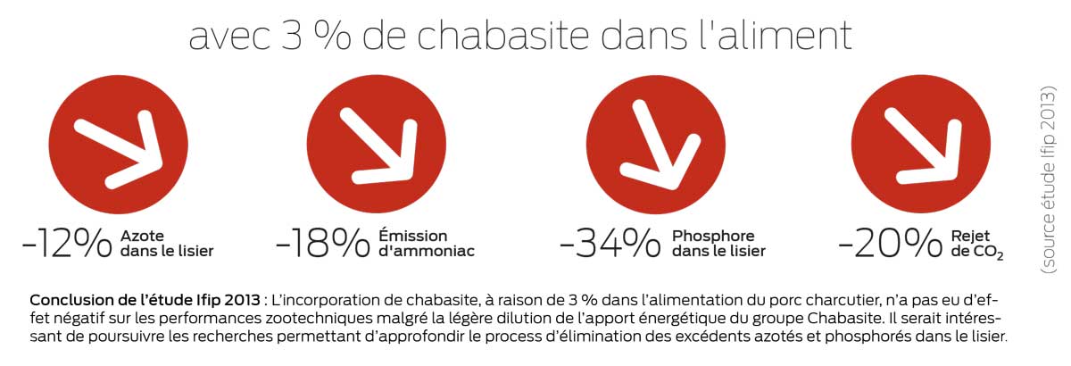 effet-chabasite-porc - Illustration Un bonus de 2 ct/kg de porc grâce à la chabasite