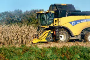 ensilage-moisson-mais-grain