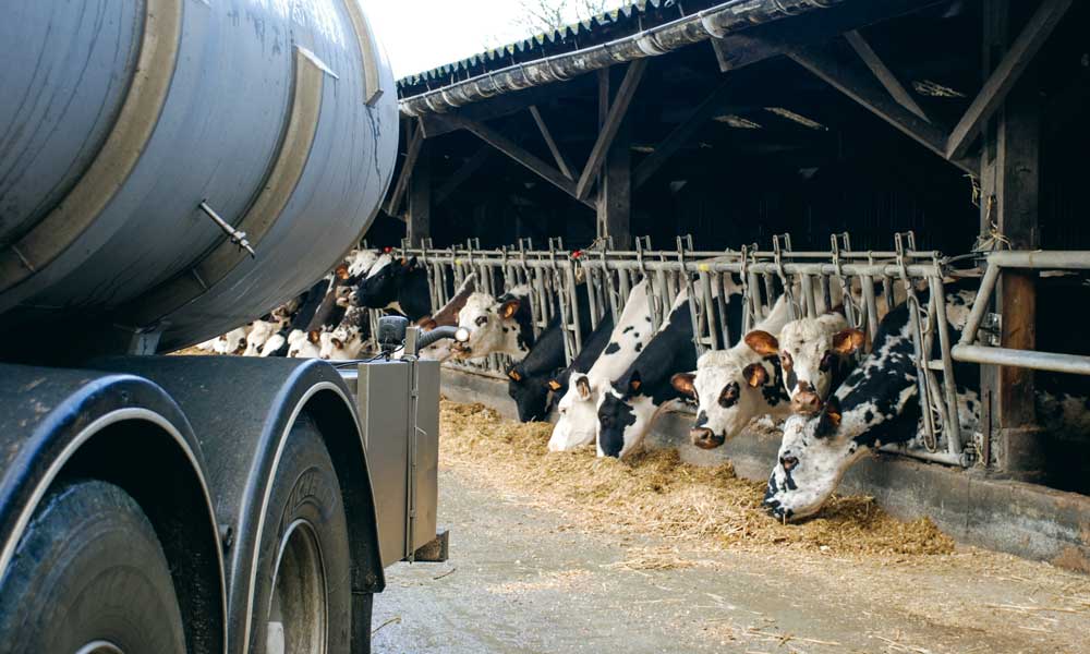 lait-collecte - Illustration Le ralentissement de la collecte de lait de vache se poursuit en février