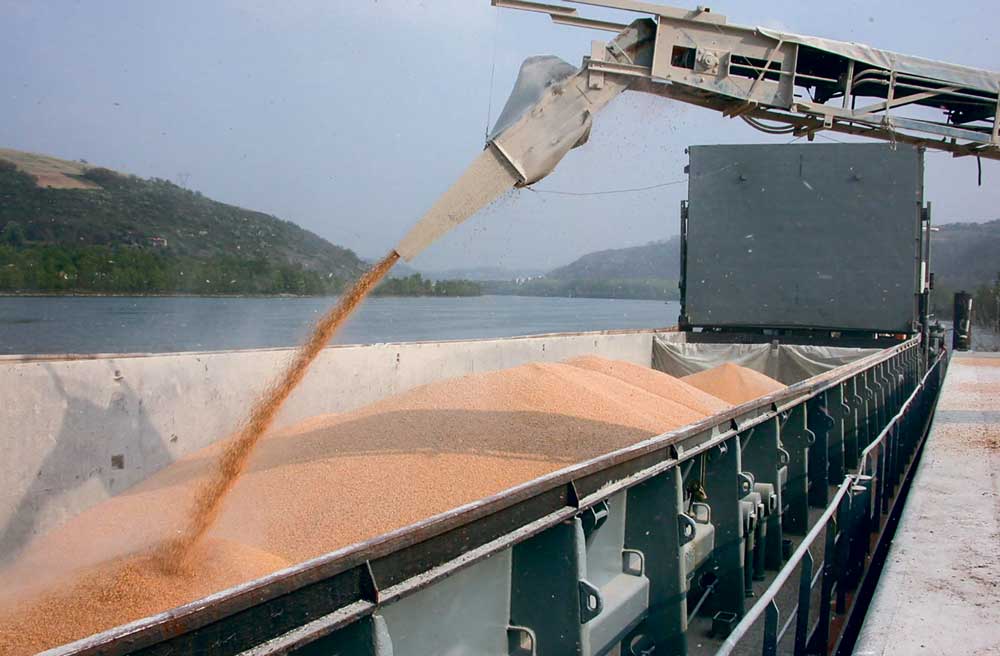 marche-cereales-port - Illustration Expliquer la volatilité des prix des marchés céréaliers