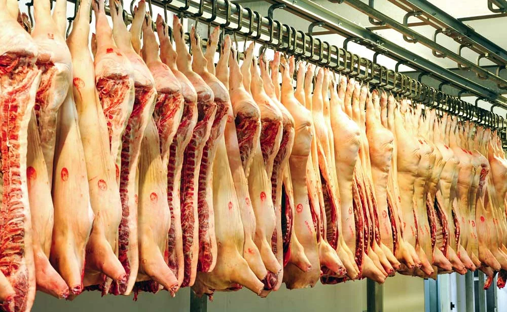 porc-abattoir - Illustration Royaume-Uni : production de porc plus coûteuse qu’en Europe