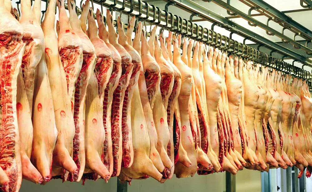 porc-abattoir - Illustration Chine : 2017 sera une année record en importation de porc