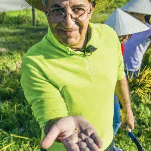 Alexandre Reis, fier de présenter les premiers grains de riz breton.