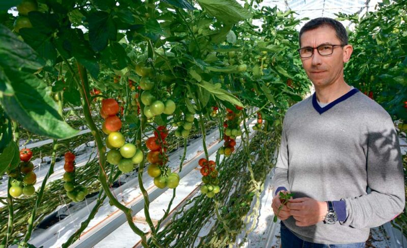 L’activité de production  de tomate génère des déchets. Ils sont recyclés au maximum par Jean-Yves Le Nard,  de l’EARL Tom’Pousse.