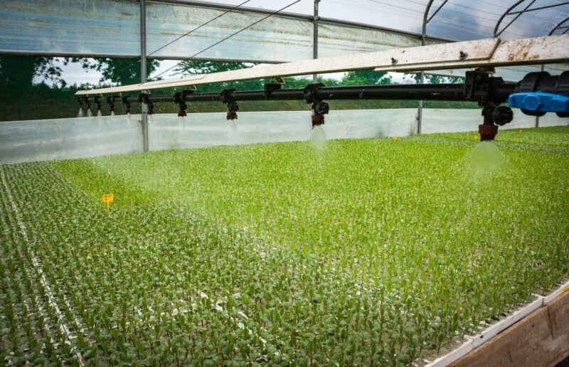 La rampe facilite et automatise le travail, que ce soit pour l’irrigation, les traitements ou pour la fertilisation. 