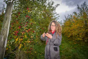 Sylvie Forel et Étienne Lehuger cultivent une vingtaine d’hectares de vergers.