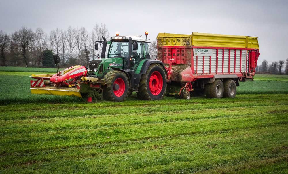 affouragement-en-verts - Illustration L’affouragement en verts aussi en Cuma