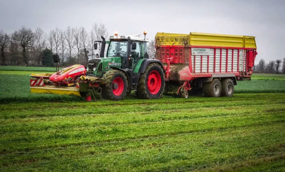 affouragement-en-verts - Illustration L&rsquo;affouragement en verts aussi en Cuma